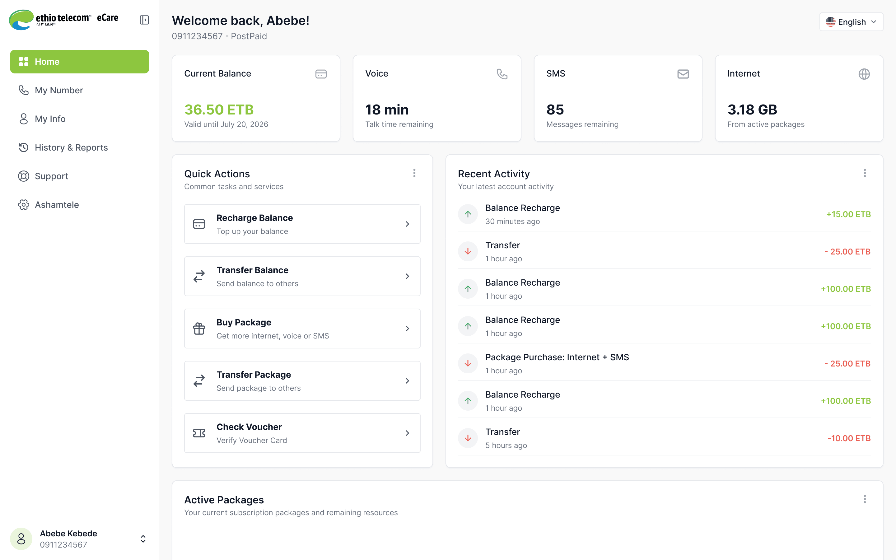 eCare dashboard preview